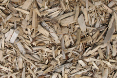 biomass boilers Tannochside